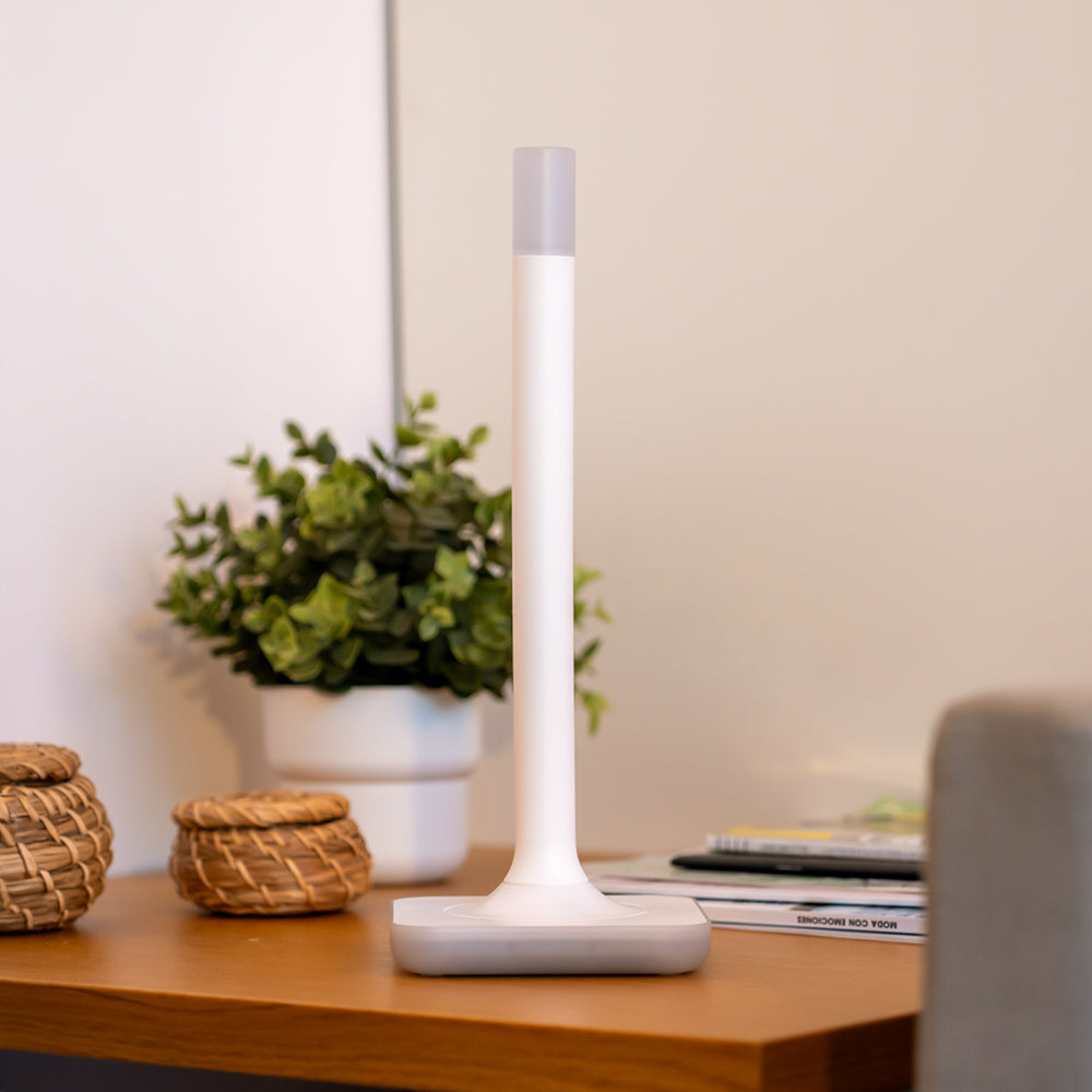 Home Assistant Connect ZWA-2 Adapter - Z-Wave 800 - Long Range - Plus - Plus V2