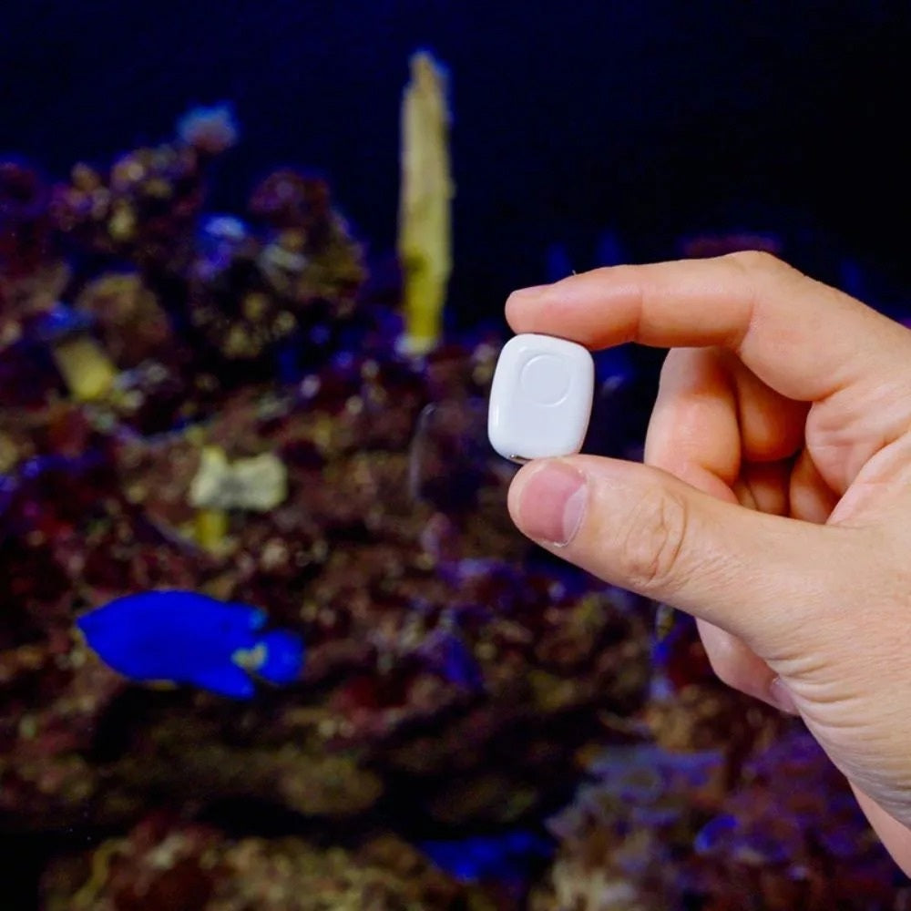 The Pill by Shelly – USB-C Wi-Fi and Bluetooth Module for Various Sensors