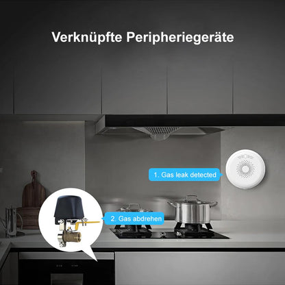 IMOU IOT-ZGA1-EU ZigBee Smart Gas Detector Alarm CNG LNG Methane 85dBm