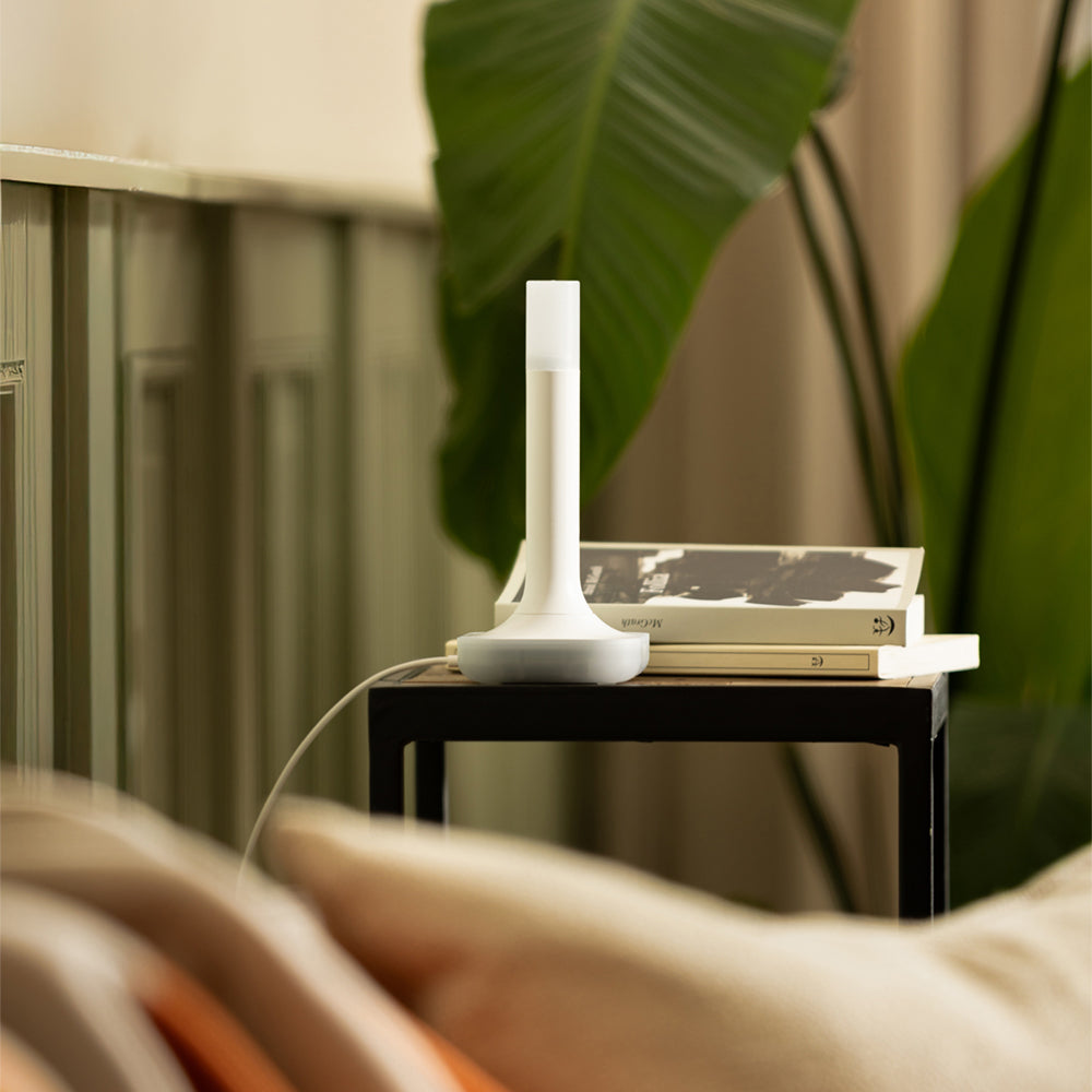 Home Assistant Connect ZBT-2 Zigbee 3.0 Thread USB Adapter EFR32MG24 ESP32-S3