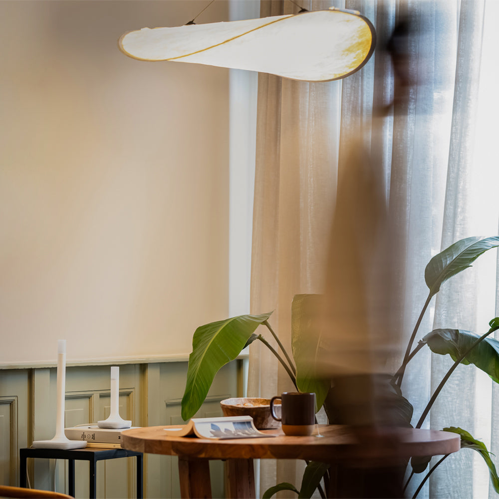 Home Assistant Connect ZBT-2 Zigbee 3.0 Thread USB Adapter EFR32MG24 ESP32-S3